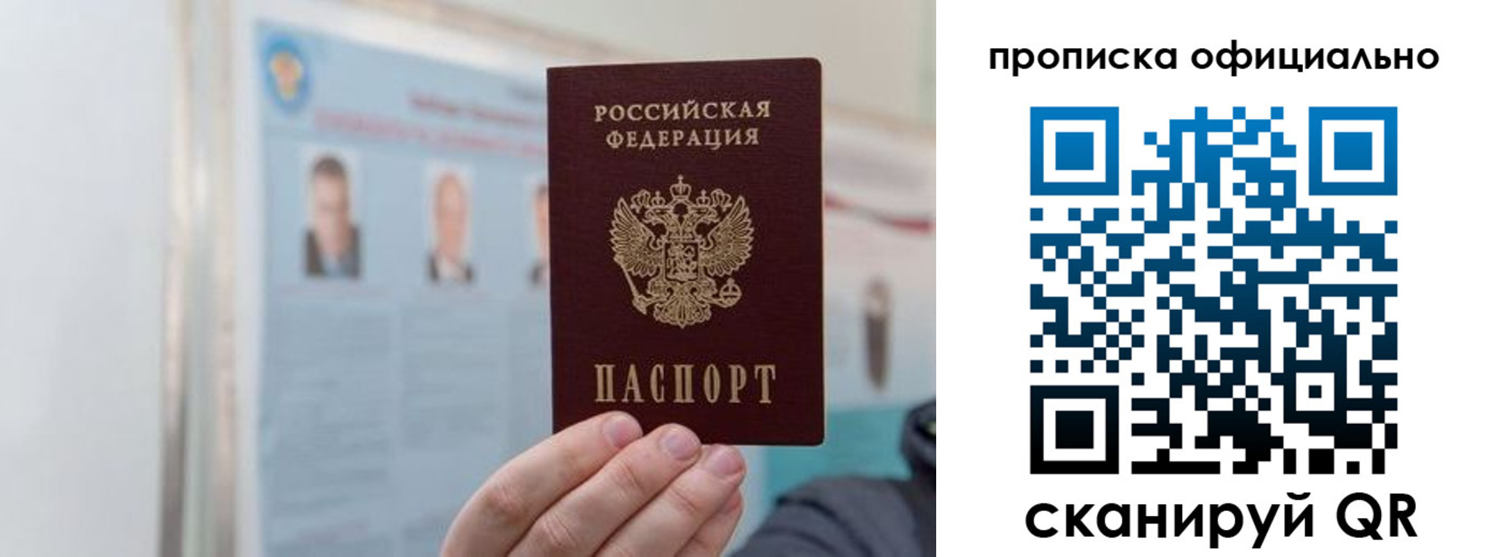 прописка гарантия в Тульской области